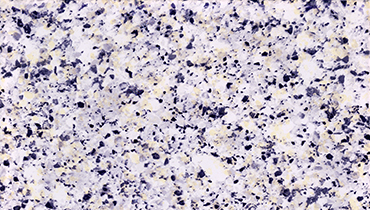 GRANITE