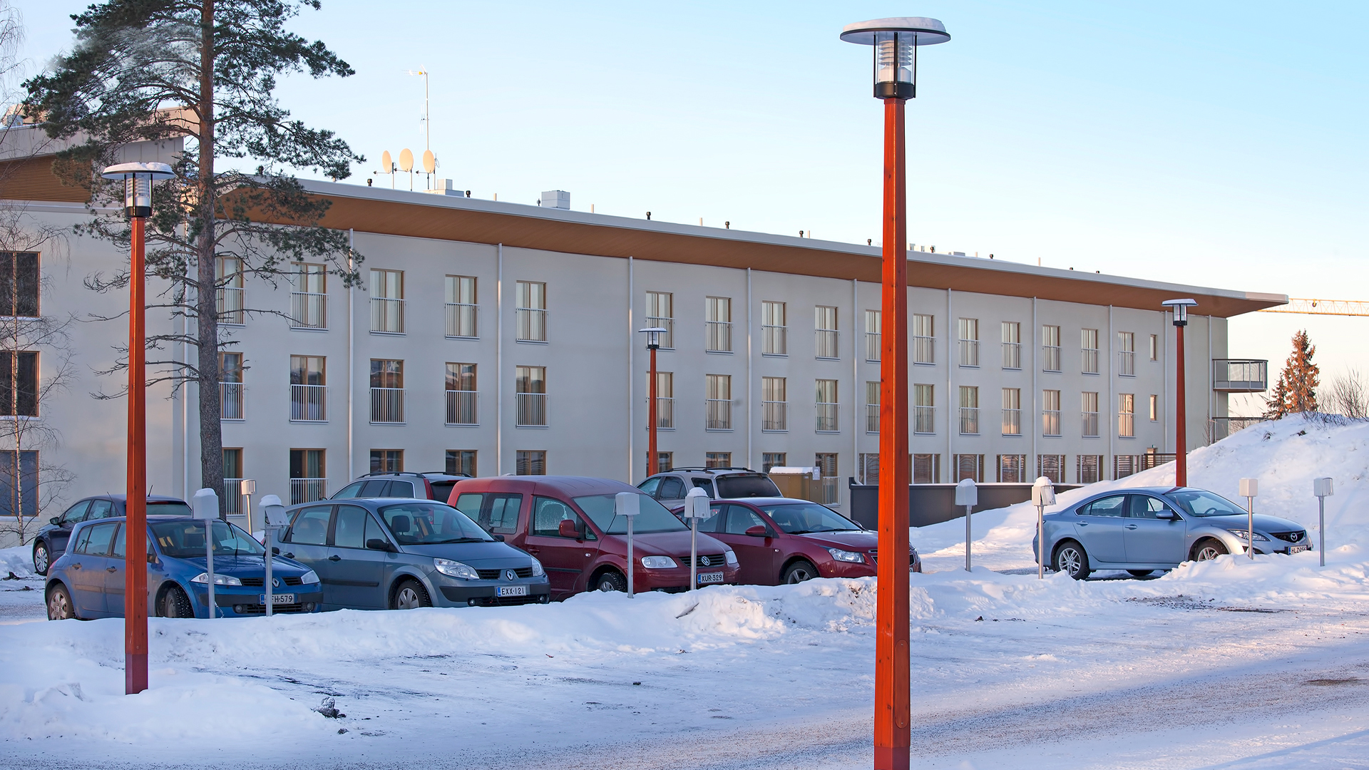 Koli